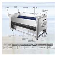 Industriële Grote Gemberwasmachine Volautomatische Dunschiller Elektrische Aardappel Reinigings-En Schilmachine