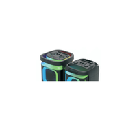 Enceinte Bluetooth extérieure double flamme 10 pouces, enceinte subwoofer, système audio portable haute puissance