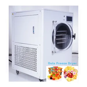 Lab lyophilizer gland type vacuum small freeze dryer top press for vials