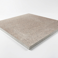 Carrelage en céramique de porcelaine antidérapant pour extérieur, jardin, 2 cm, 600 x 600, pour terrasse