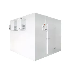 Customized Freezing Room Walk In Cooler Unit Commercial Refrigerator Storage Walk In Fridge Cold Chamber Freezer Room Price