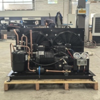 Unité de réfrigération OEM en forme de H à piston unique, refroidie par air, pour système de condensation de stockage frigorifique à basse température