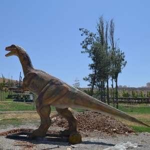 Vente chaude vrai modèle de tête de dinosaure Animatronic pour Adventure Park <span class=keywords><strong>Jurassic</strong></span> Dinosaur - Product Image 4