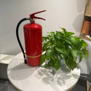 Extintor de Incendios Portátil de 6 kg MFZ/ABC5, Grado Industrial, Categoría A, Acero Rojo, Tiempo de Descarga >60s, Carl - Product Image 6