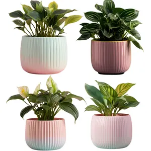 5 polegadas Novo design gradual cor dolomita potes de cerâmica para plantas vasos plantadores Terra cotta pot