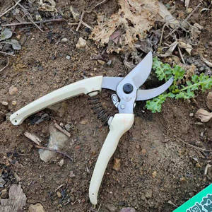 Cisailles de taille-basquet Butterfly 109B, lame de 40 mm en acier inoxydable, forme de bec, pour l'élagage des arbres fruitiers et l'entretien horticole du jardin - Product Image 3