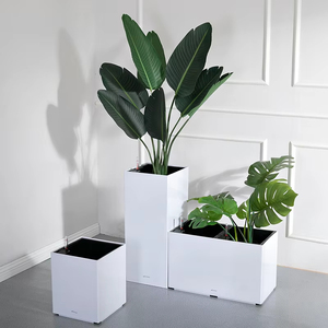 Macetas Rectangulares de Diseño Nuevo para Interiores, Macetas Largas Negras para Flores, Macetas Combinadas de Plástico Blanco - Product Image 5