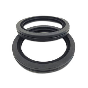 DSH disediakan oleh produsen segel minyak tipe-b PTFE tahan aus cincin segel bibir ganda segel minyak - Product Image 4