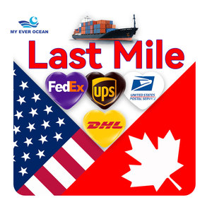 Ever Ocean Estimación de tarifas Ddp Lcl Express Flete marítimo Calculadora de costos Agente de envío de China a camión EE. UU. Canadá - Product Image 1