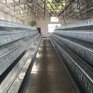 Automatische Kippengevogelte Eierlagen Kooi Heet Gegalvaniseerd Boerderij Ontwerp Een Type Kooi - Product Image 3