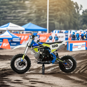 Alta calidad Off Road Gasolina Motocross 110cc <span class=keywords><strong>Enduro</strong></span> automático Motocicleta Motor de 4 tiempos <span class=keywords><strong>Mini</strong></span> Dirt Bike Personalización con CE - Product Image 6