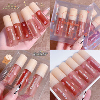 Gloss à lèvres en gros, tube en aluminium, fruit de capsicum, végétalien, effet repulpant, laque, marque privée, liquide, sans produits chimiques, waterproof, certifié CE 3