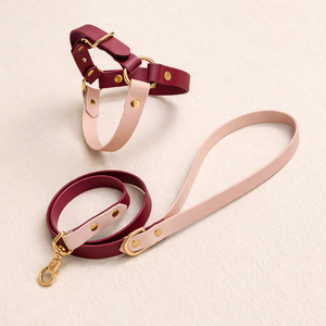 Ensemble laisse <span class=keywords><strong>et</strong></span> harnais pour chien en PVC texturé simili cuir <span class=keywords><strong>de</strong></span> luxe |   Durable, imperméable, facile à nettoyer, doublure douce, vente en gros - Product Image 2