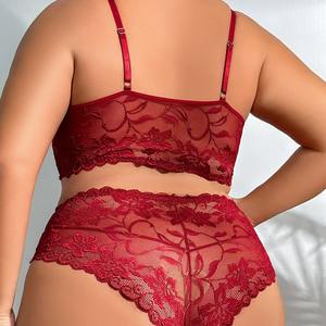 Completo Intimo Sexy da Donna di Alta Qualità, Due Pezzi, Taglie Forti, per Donne Curvy, Set Lingerie Sexy con Reggiseno in Pizzo con Fiocco e Slip a Triangolo - Product Image 4