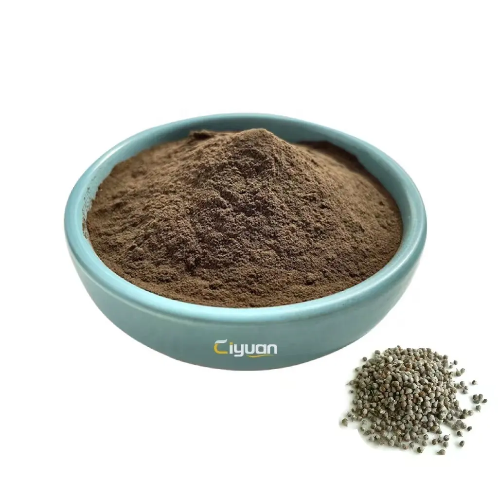 Ciyuan Factory Supply Vitex Agnus-castus estratto di Chasteberry/estratto di albero Chaste in polvere buono per le donne