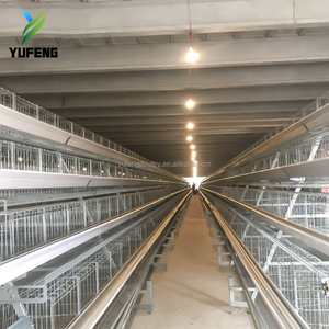 Cage à poules pondeuses automatique de type batterie à 4 niveaux pour 160 poules, pour l'élevage de plus de poulets, à vendre - Product Image 5