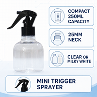 Vente en gros de flacons pulvérisateurs miniatures de 250 ml, couleur personnalisée, flacon en plastique vide pour le nettoyage, le jardinage, les soins personnels