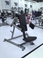 Machine de musculation Rosen Lateral Raise à structure stable et design ergonomique
