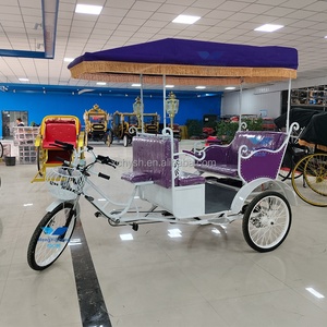 Bicicletas para 4 personas Bicicleta de turismo familiar Apariencia clásica/Bicicleta de turismo Ciclismo Bicicleta eléctrica en el parque para hacer turismo - Product Image 3