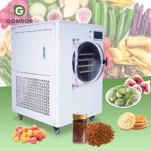 Liofilizador al Vacío de Diseño Integrado, Tecnología Liofilizadora, Máquina de Secado Compacta de Laboratorio para Dulces - Product Image 1