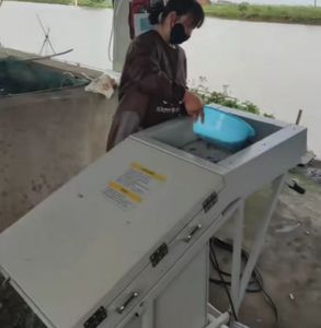 Máquina Contadora de Larvas de Camarones y Peces con IA Avanzada, Contador Automático de Alta Precisión para Criaderos, Acero Inoxidable, 99% de Precisión - Product Image 5