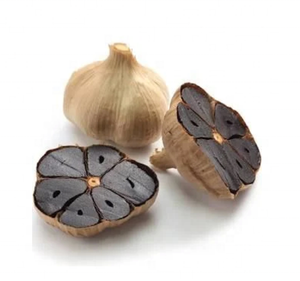 Extrato natural puro habilitado do alho do pó 3% do alho do extrato ISO22000 Polyphenols 1 ~ 5% Alicin preto - Product Image 3