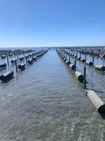 Taoni TN-OT Gobelet flottant pour huîtres avec construction en plastique moulé Fabriqué dans le Hebei