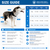 Harnais de soutien arrière orthopédique pour chien en maille polyester respirante pour dysplasie de la hanche, récupération de la LCA, confort réglable, mobilité animale
