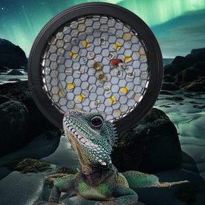 Lampe chauffante pour reptiles écologique à spectre complet UVB, complément de calcium solaire pour tortue terrestre, lézard, boîte pour animaux de compagnie - Product Image 6