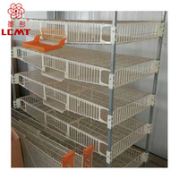 Nouveau Modèle Cage à Cailles Type H de Haute Qualité en Vente