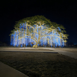 Lumière à fibre <span class=keywords><strong>optique</strong></span> d'extérieur avec changement de couleur RVB vibrant, étanche, pour la décoration paysagère des arbres, des parcs et une <span class=keywords><strong>ambiance</strong></span> festive - Product Image 3
