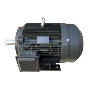 Industrial 300kw Permanent Magnet Electric Permanent Magnet Motor Pmsm Motor 5kw Permanent Magnet Motor