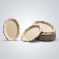 Assiettes ovales en bagasse de canne à sucre blanches, robustes, jetables, compostables et biodégradables pour fêtes, mariages, traiteurs et événements