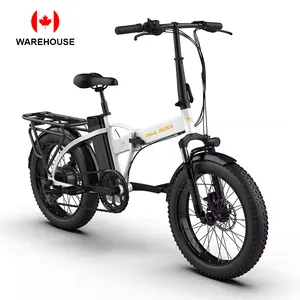 ポールライダーカナダ倉庫48V500W750W10AH15AHハイブリッド自転車電動折りたたみ式ファットタイヤeバイク