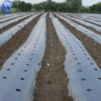 Paillage Agricole 30 Microns Largeur 2m 3m Rouleau de Film Plastique de Couverture pour Ferme