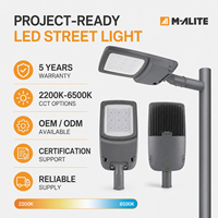 Lampe de rue LED haute efficacité 190lm W IP66 IK10 pour éclairage extérieur de routes et autoroutes, installation flexible