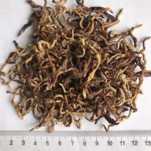 फ्रीज सूखे केंचुआ मछली Lures खाद्य केंचुए - Product Image 5