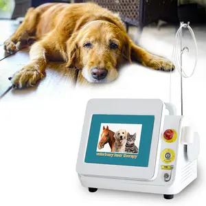 Laser a diodi 980nm per animali domestici ospedale fisioterapia apparecchiature laser terapeutiche veterinarie 60w classe iv