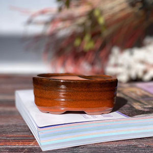 Mini pot de plantes succulentes pour décoration de jardin, vente en gros, avec trou de Drainage - Product Image 3