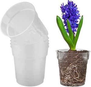<span class=keywords><strong>Vasi</strong></span> <span class=keywords><strong>per</strong></span> <span class=keywords><strong>Orchidee</strong></span> in Plastica Trasparente all'Ingrosso con Fori, <span class=keywords><strong>Vasi</strong></span> da Vivaio <span class=keywords><strong>per</strong></span> <span class=keywords><strong>Rinvaso</strong></span> di <span class=keywords><strong>Orchidee</strong></span> - Product Image 1