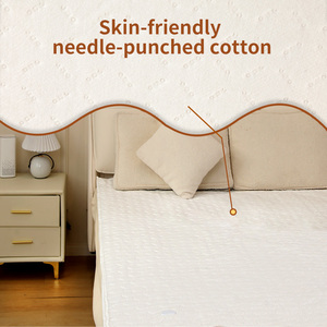 Contrôleur simple de couverture électrique de niveau inférieur avec régulation de la température et protection contre la surchauffe - Product Image 4