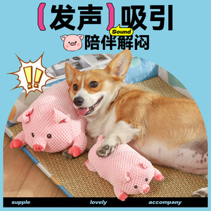 Jouet en peluche parlant cochon rose pour chiots, chien, Teddy, Corgi, Bichon Frisé, jouet à mâcher pour la dentition, jouet couineur pour animaux de compagnie - Product Image 2