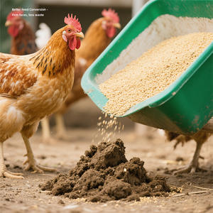 Tierfutterzusätze erhöhen das Schlachtgewicht, verkürzen den Fütterungszyklus und fördern das Wachstum von Nutztieren und Geflügel. - Product Image 2