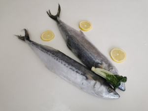 سمك الملك/سمك الماكريل الاسباني/سمك Seer - Product Image 4