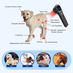 Perangkat Laser LLLT Kelas 3B Dingin Genggam 650nm Alat Medis Veteriner untuk Pereda Nyeri TMJ pada Kuda - Product Image 5