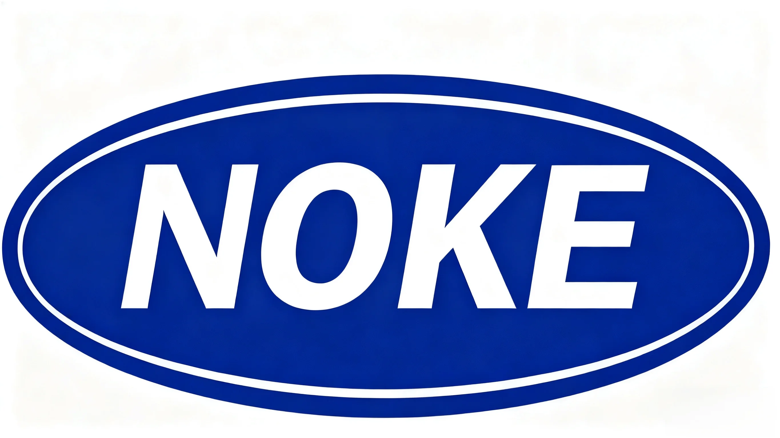 Shaanxi Noke Shijie Technology Co., Ltd. logo