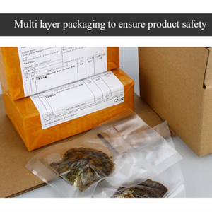 Tự làm akoya & hàu nước ngọt với ngọc trai nước ngọt Tròn Chính Hãng 7mm-9mm bên trong & Quà Tặng Khoa Học-được bọc riêng - Product Image 4