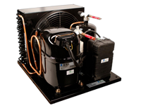 Unités de condensation de réfrigération 1/2HP- 2HP R404a 110V 60Hz pour la machine froide de refroidisseur de bière