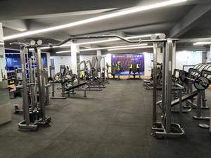 Máquina Moderna para Bíceps/Tríceps MND FF86, Equipo <span class=keywords><strong>de</strong></span> Entrenamiento <span class=keywords><strong>de</strong></span> Fuerza para <span class=keywords><strong>Gimnasio</strong></span> y Centro <span class=keywords><strong>de</strong></span> Fitness, <span class=keywords><strong>de</strong></span> Alta Resistencia - Product Image 5