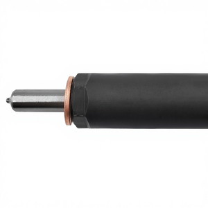 <span class=keywords><strong>Inyector</strong></span> de Combustible Diésel 28232248 166009384R para <span class=keywords><strong>Renault</strong></span> Nissan <span class=keywords><strong>1.5</strong></span> <span class=keywords><strong>DCi</strong></span> - Product Image 6